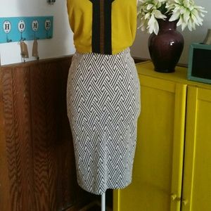 Pencil Skirt